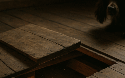 What Lies Beneath: A Tale of Floorboards, Fantasy, and Mild Concern